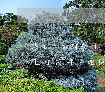 信用卡逾期未還_后期不能分期(分期卡逾期屬于信用卡逾期嗎)