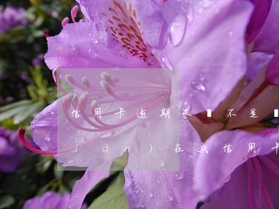 信用卡逾期未還不是變成呆賬了嗎-現(xiàn)在我信用卡逾期未還