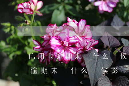 信用卡逾期未還什么時候影響征信-信用卡逾期未還什么時候影響征信報告