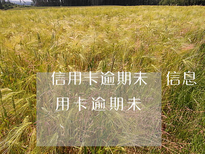 信用卡逾期未還信息 現(xiàn)在我信用卡逾期未還