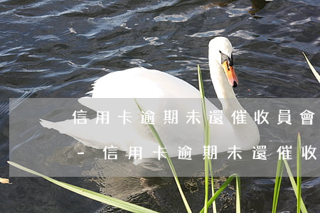 信用卡逾期未還催收員會(huì)上門嗎-信用卡逾期未還催收員會(huì)上門嗎知乎