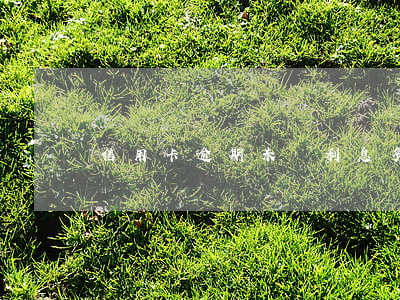 信用卡逾期未還利息多少天(信用卡 逾期 幾天)