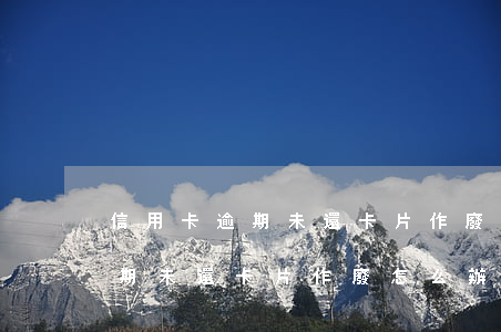 信用卡逾期未還卡片作廢怎么辦-信用卡逾期未還卡片作廢怎么辦理