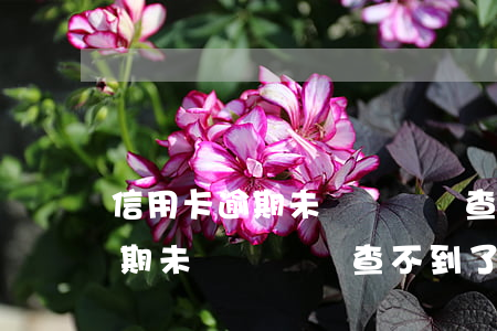 信用卡逾期未還卻賬單查不到了-信用卡逾期未還卻賬單查不到了怎么辦