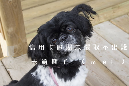 信用卡逾期未還取不出錢(qián)(信用卡逾期了沒(méi)錢(qián)還可以慢慢還嗎)