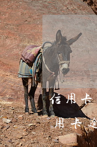 信用卡逾期未還多久會(huì)有記錄(信用卡逾期未還多久會(huì)有記錄征信)