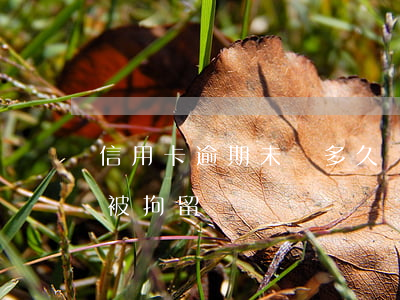 信用卡逾期未還多久會坐牢(欠信用卡逾期會被拘留嗎)