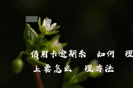 信用卡逾期未還如何處理(信用卡逾期了還不上要怎么處理方法)