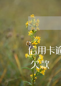 信用卡逾期未還完卡被銷戶(信用卡逾期還清欠款銷戶后又收到當(dāng)月還款)