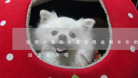 信用卡逾期未還完嗎 逾期半年的信用卡還完錢還能用嗎