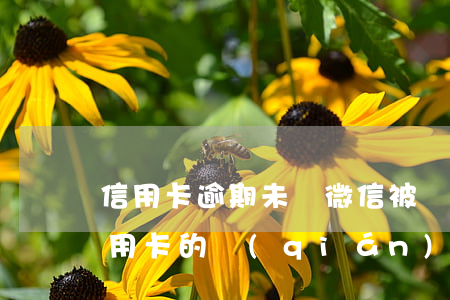 信用卡逾期未還微信被凍結(jié)(欠信用卡的錢(qián)無(wú)力償還會(huì)凍結(jié)微信嗎?)