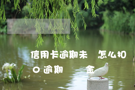 信用卡逾期未還怎么扣滯納金(信用卡5000逾期滯納金)