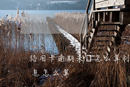 信用卡逾期未還怎么算利息(欠信用卡逾期利息怎么算)