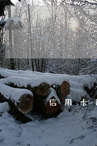 信用卡逾期未還怎么能不上征信