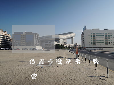 信用卡逾期未還收滯納金嗎(信用卡 逾期 滯納金)