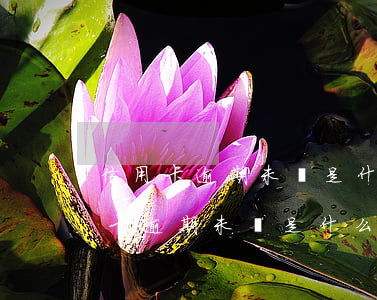 信用卡逾期未還是什么結(jié)果(信用卡逾期未還是什么結(jié)果)