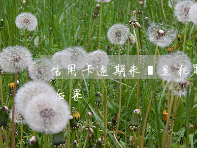 信用卡逾期未還是犯罪嗎(信用卡逾期未還的后果)