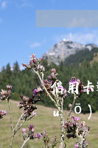 信用卡逾期未還最低還款(收到短信說(shuō)信用卡逾期,但是我已經(jīng)還了最低還款)