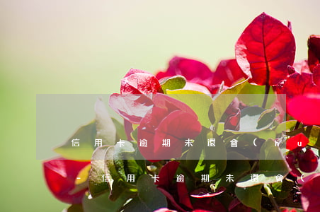 信用卡逾期未還會(huì)上失信人員嗎-信用卡逾期未還會(huì)上失信人員嗎知乎