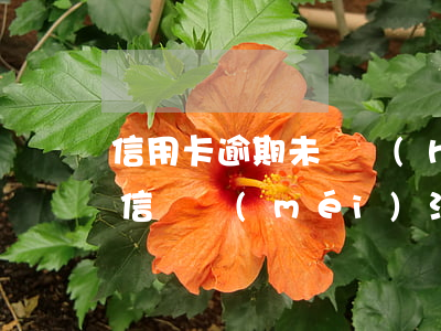 信用卡逾期未還會(huì)發(fā)短信嗎(沒(méi)注意信用卡逾期了)