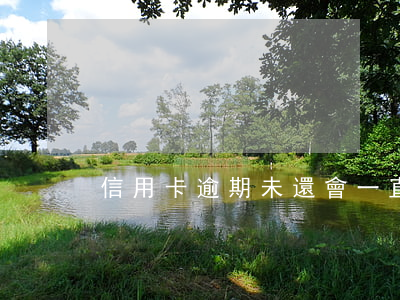 信用卡逾期未還會一直漲利息嗎