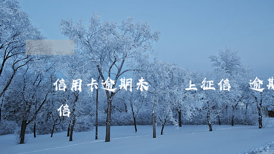 信用卡逾期未還會上征信嗎(逾期不還會上征信嗎)