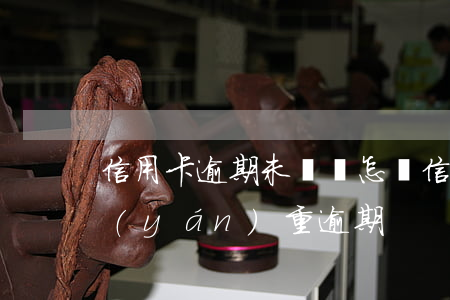 信用卡逾期未還會怎樣(信用卡多久沒還算嚴(yán)重逾期)