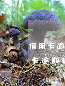 信用卡逾期未還會被法院起訴么(有沒有信用卡逾期被起訴的)