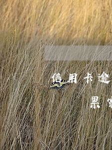 信用卡逾期未還會連累親人嗎(欠信用卡不還會連累家人嗎)