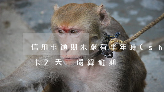 信用卡逾期未還有半年時(shí)間(信用卡2天沒還算逾期)