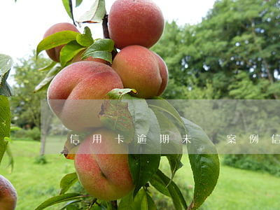 信用卡逾期未還案例 信用卡 逾期 后果