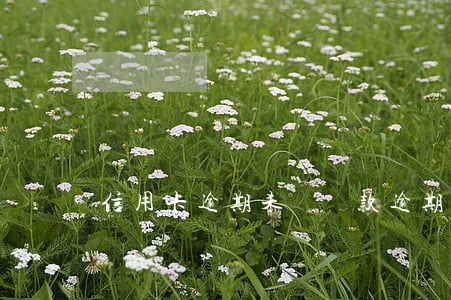 信用卡逾期未還條款(逾期后申請信用卡)