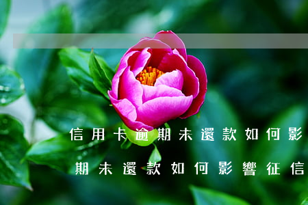 信用卡逾期未還款如何影響征信-信用卡逾期未還款如何影響征信記錄