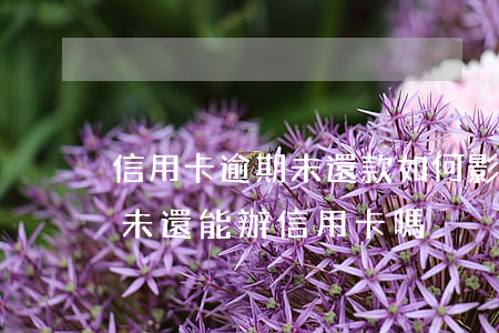 信用卡逾期未還款如何影響征信(征信有逾期未還能辦信用卡嗎)