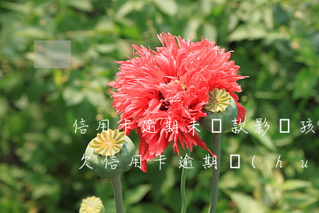 信用卡逾期未還款影響孩子上學(xué) 欠信用卡逾期會(huì)影響孩子嗎