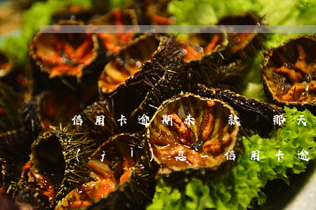 信用卡逾期未還款從那天開(kāi)始計(jì)息-信用卡逾期未還款從那天開(kāi)始計(jì)息嗎