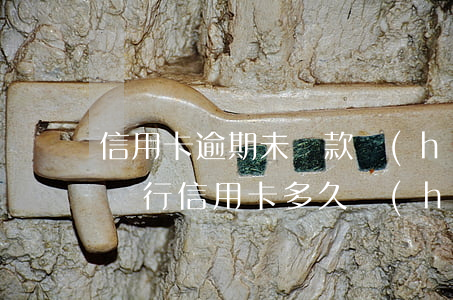信用卡逾期未還款會(huì)被通緝嗎(欠銀行信用卡多久會(huì)被起訴通緝)