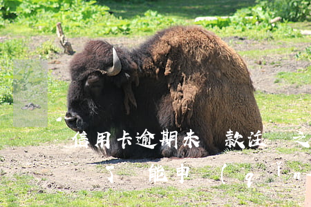 信用卡逾期未還款注銷(之前的信用卡逾期注銷了還能申請(qǐng)嗎)