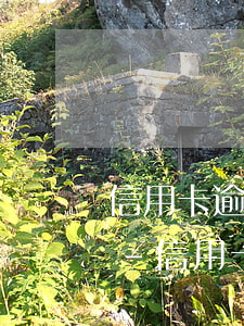 信用卡逾期未還款的后果嚴(yán)重嗎-信用卡逾期未還款的后果嚴(yán)重嗎怎么辦