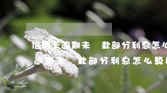 信用卡逾期未還款部分利息怎么算-信用卡逾期未還款部分利息怎么算的