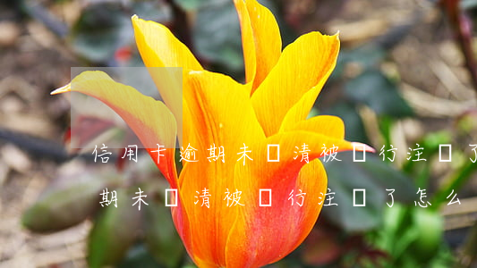 信用卡逾期未還清被銀行注銷了-信用卡逾期未還清被銀行注銷了怎么辦
