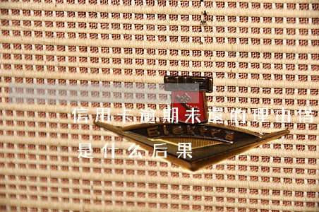信用卡逾期未還的理由(借信用卡逾期不還會是什么后果)