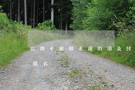 信用卡逾期未還的須支付(信用卡不還完算逾期么)