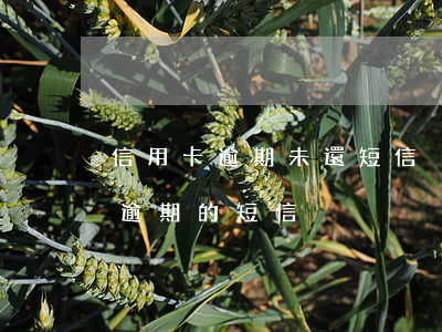 信用卡逾期未還短信內(nèi)容(信用卡逾期的短信)