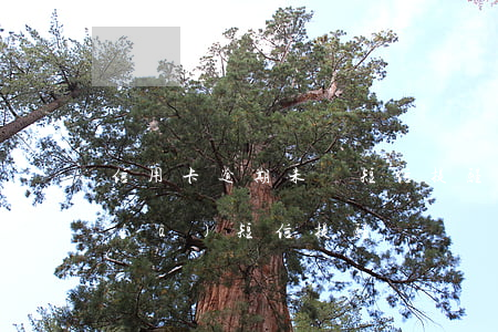 信用卡逾期未還短信提醒(信用卡逾期會發(fā)短信提醒嗎)
