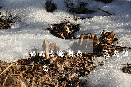 信用卡逾期未還罰息(欠信用卡6萬逾期一年罰息)