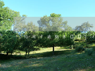 信用卡逾期未還聯(lián)系別人