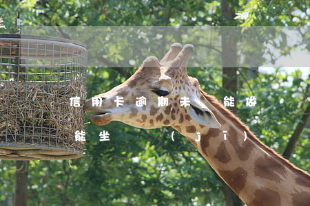 信用卡逾期未還能做飛機(jī)嗎(逾期不能坐飛機(jī)嗎)