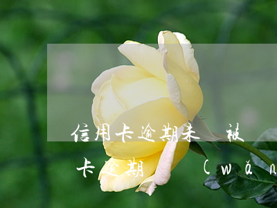 信用卡逾期未還被掛網(wǎng)逃(信用卡逾期掛網(wǎng)上通緝)
