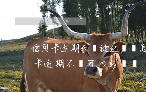 信用卡逾期未還被起訴會怎么樣 朋友借信用卡逾期不還可以起訴嗎